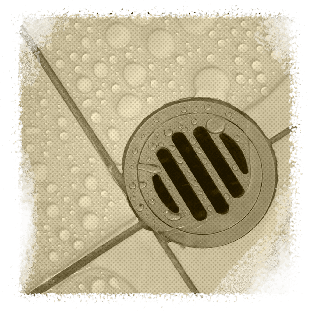 Shower drain